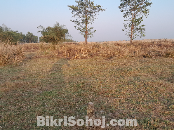Wali Housing